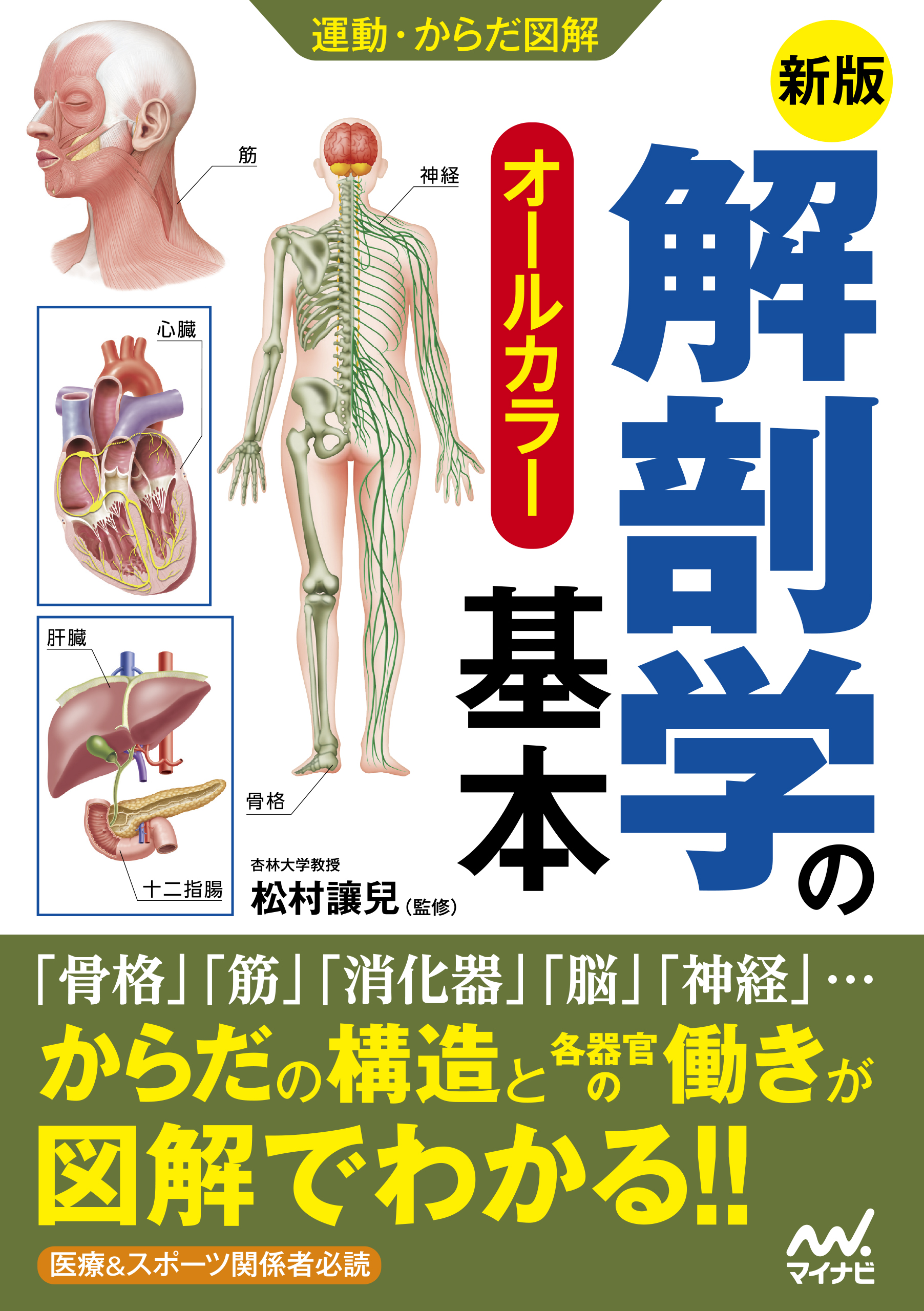 運動・からだ図解 新版 解剖学の基本 - 松村讓兒 - 漫画・無料試し読み
