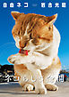 岩合光昭 写真集 「自由ネコ」