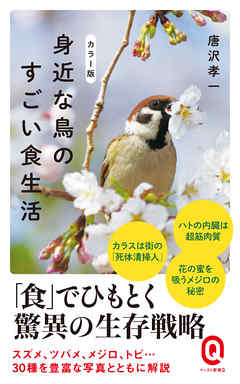 カラー版 身近な鳥のすごい食生活 唐沢孝一 漫画 無料試し読みなら 電子書籍ストア ブックライブ