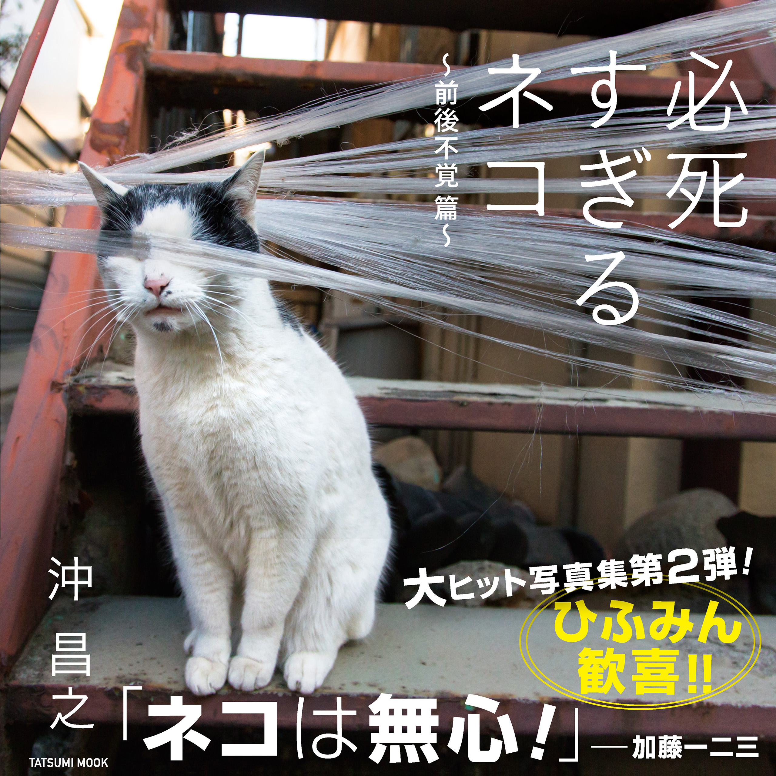 前後不覚となる