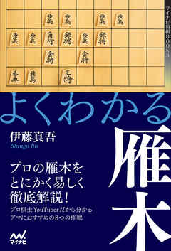 よくわかる雁木