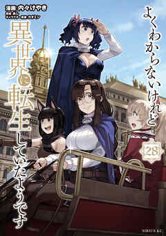 よくわからないけれど異世界に転生していたようです（２８）