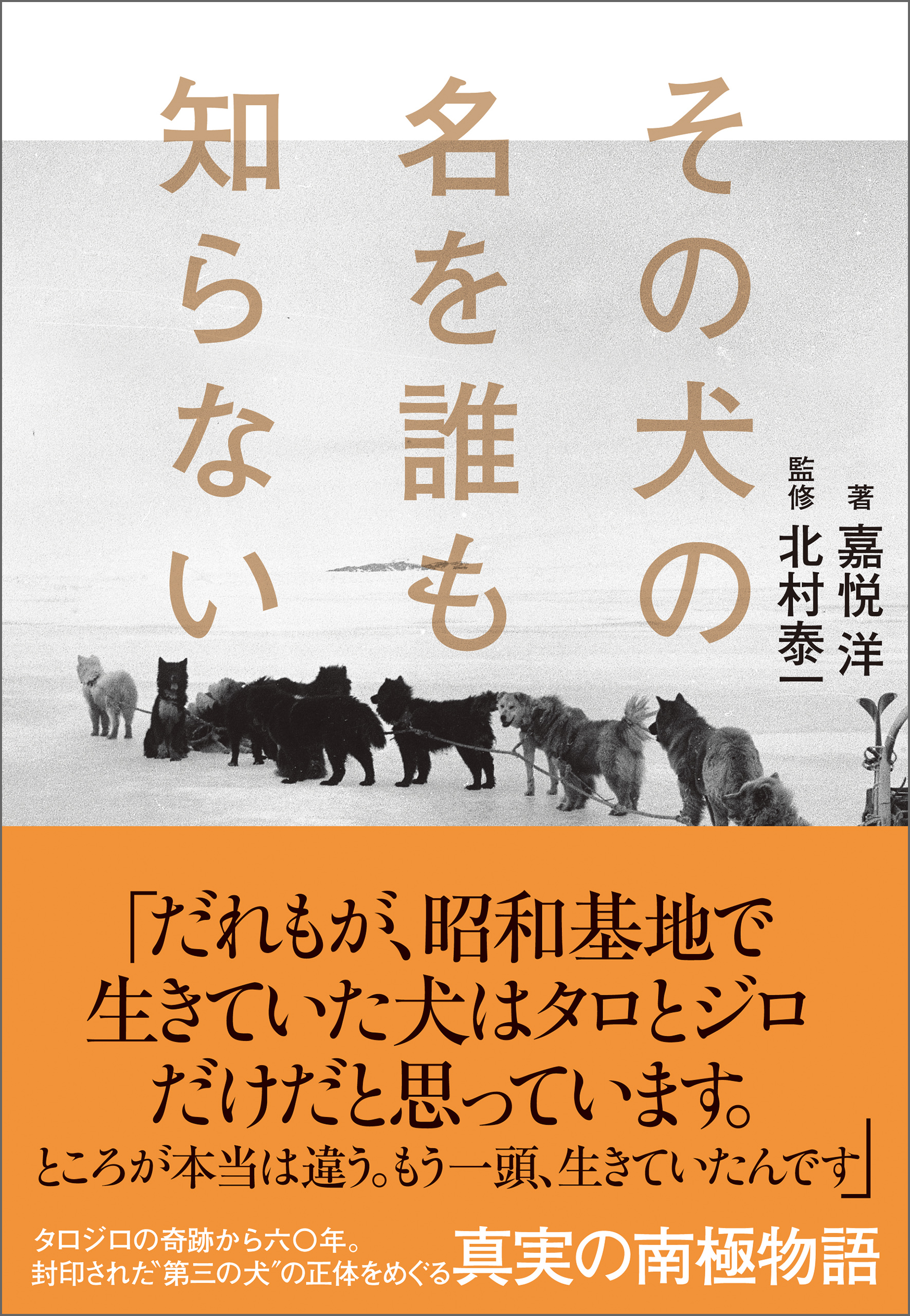 その犬の名を誰も知らない 漫画 無料試し読みなら 電子書籍ストア ブックライブ