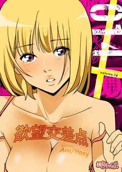 欲望交差点（フルカラー） 14