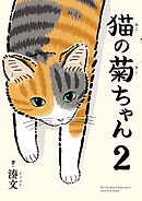 猫の菊ちゃん ２