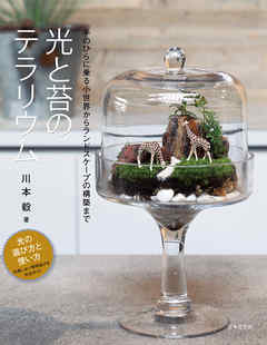 光と苔のテラリウム