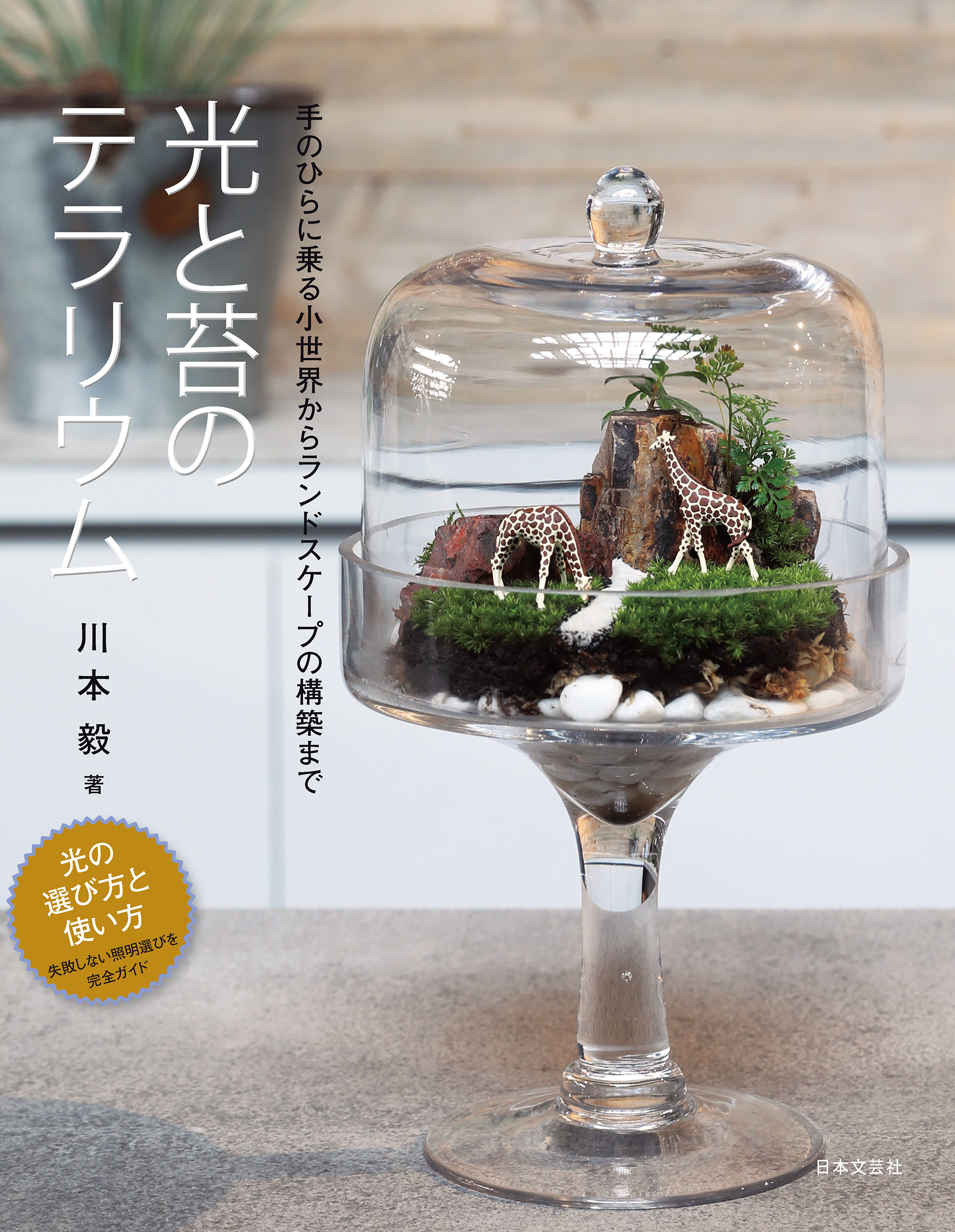 光と苔のテラリウム 漫画 無料試し読みなら 電子書籍ストア ブックライブ