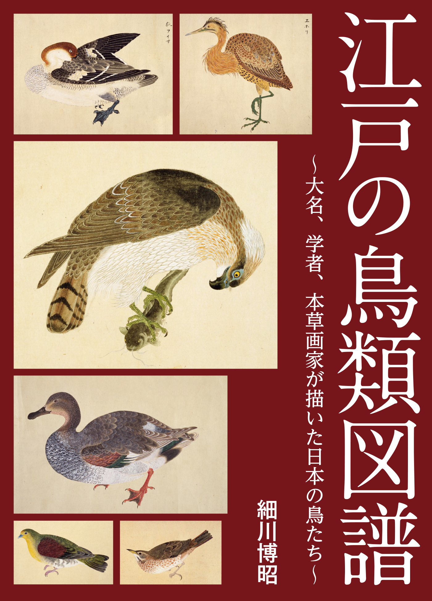 江戸の鳥類図譜 大名 学者 本草画家が描いた日本の鳥たち 細川博昭 漫画 無料試し読みなら 電子書籍ストア ブックライブ