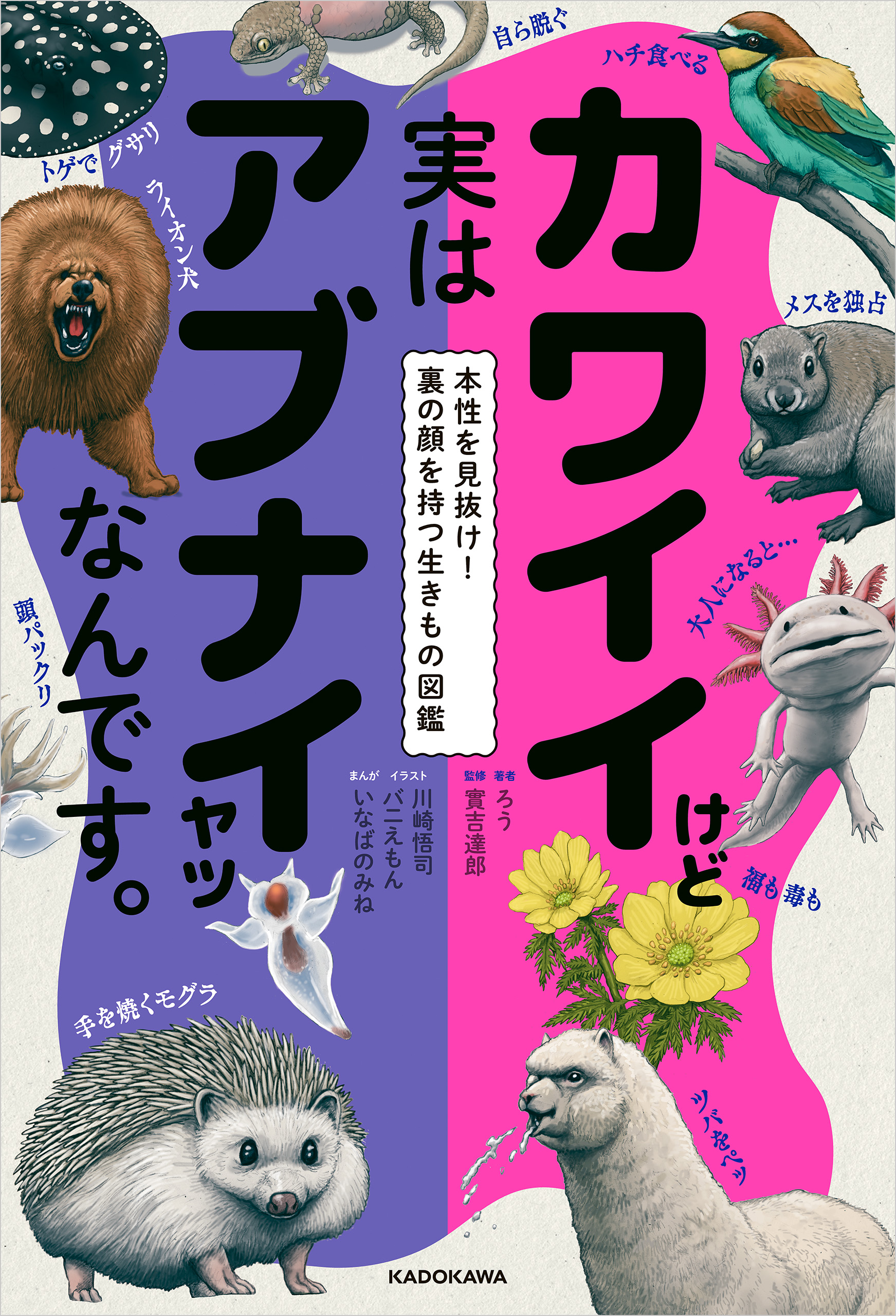 カワイイけど実はアブナイヤツなんです。 本性を見抜け！裏の顔を持つ