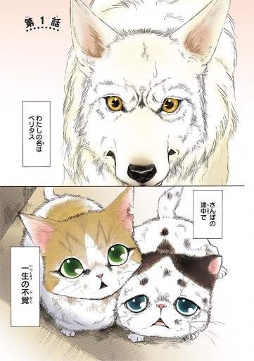 うちの犬が子ネコ拾いました マイクロ 1 竜山さゆり 漫画 無料試し読みなら 電子書籍ストア ブックライブ