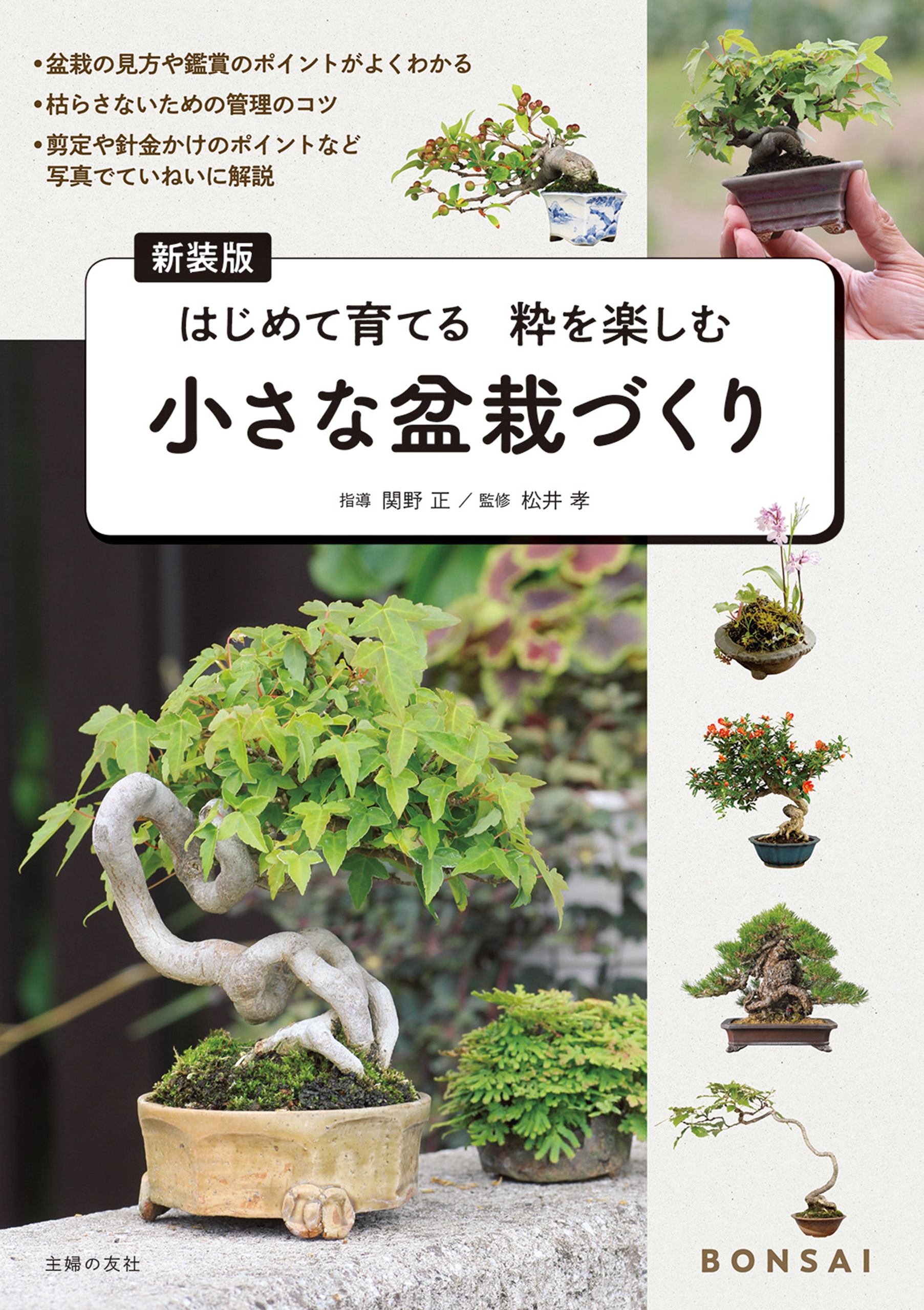 新装版 小さな盆栽づくり 漫画 無料試し読みなら 電子書籍ストア ブックライブ