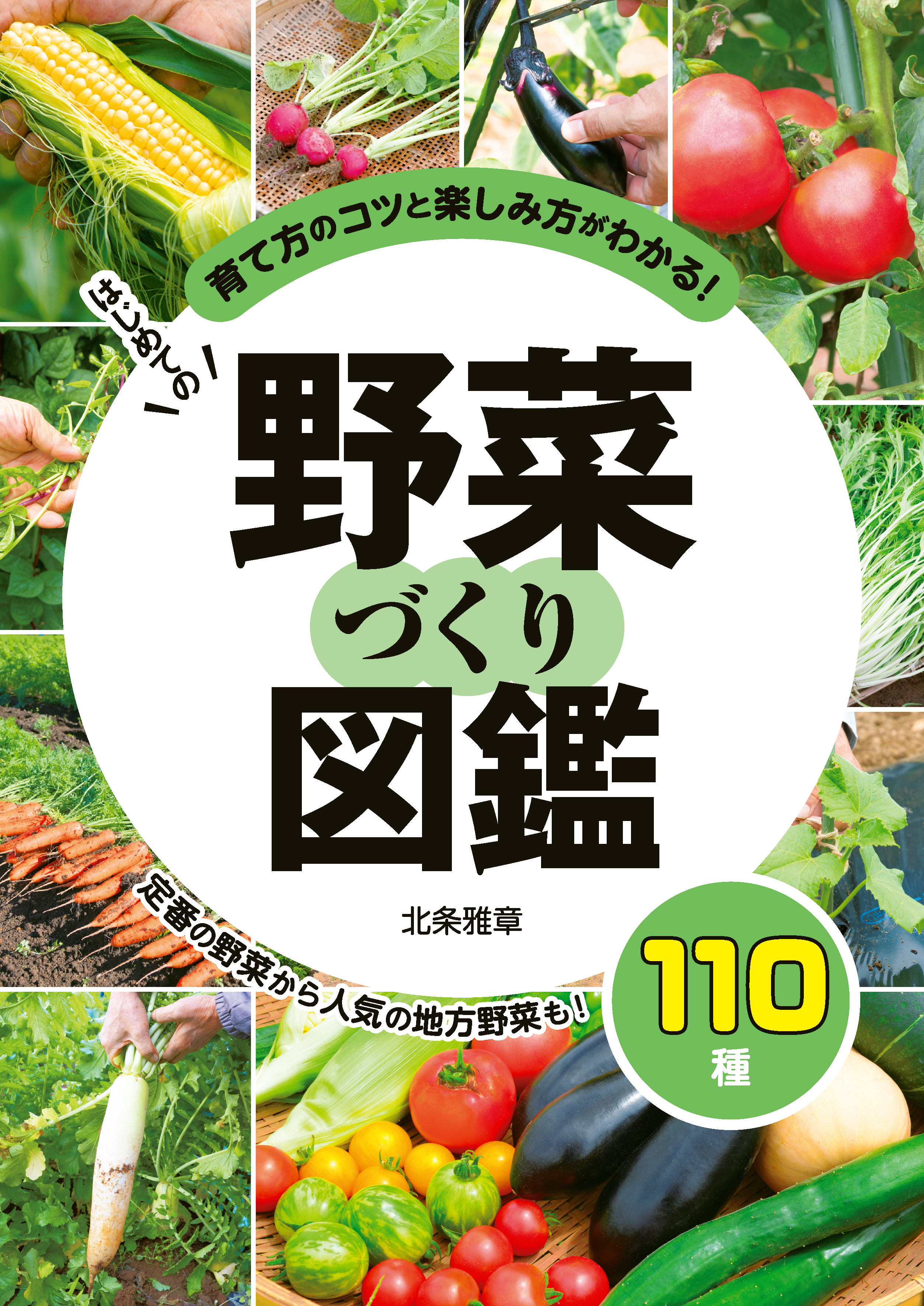 はじめての野菜づくり図鑑110種 北条雅章 漫画 無料試し読みなら 電子書籍ストア ブックライブ