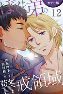[カラー版]ぼくと弟の警戒領域 12巻〈エロティックな支配〉