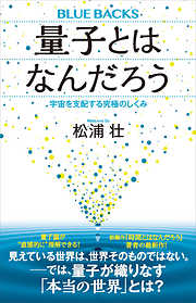 素数入門 計算しながら理解できる - 芹沢正三 - 漫画・ラノベ（小説