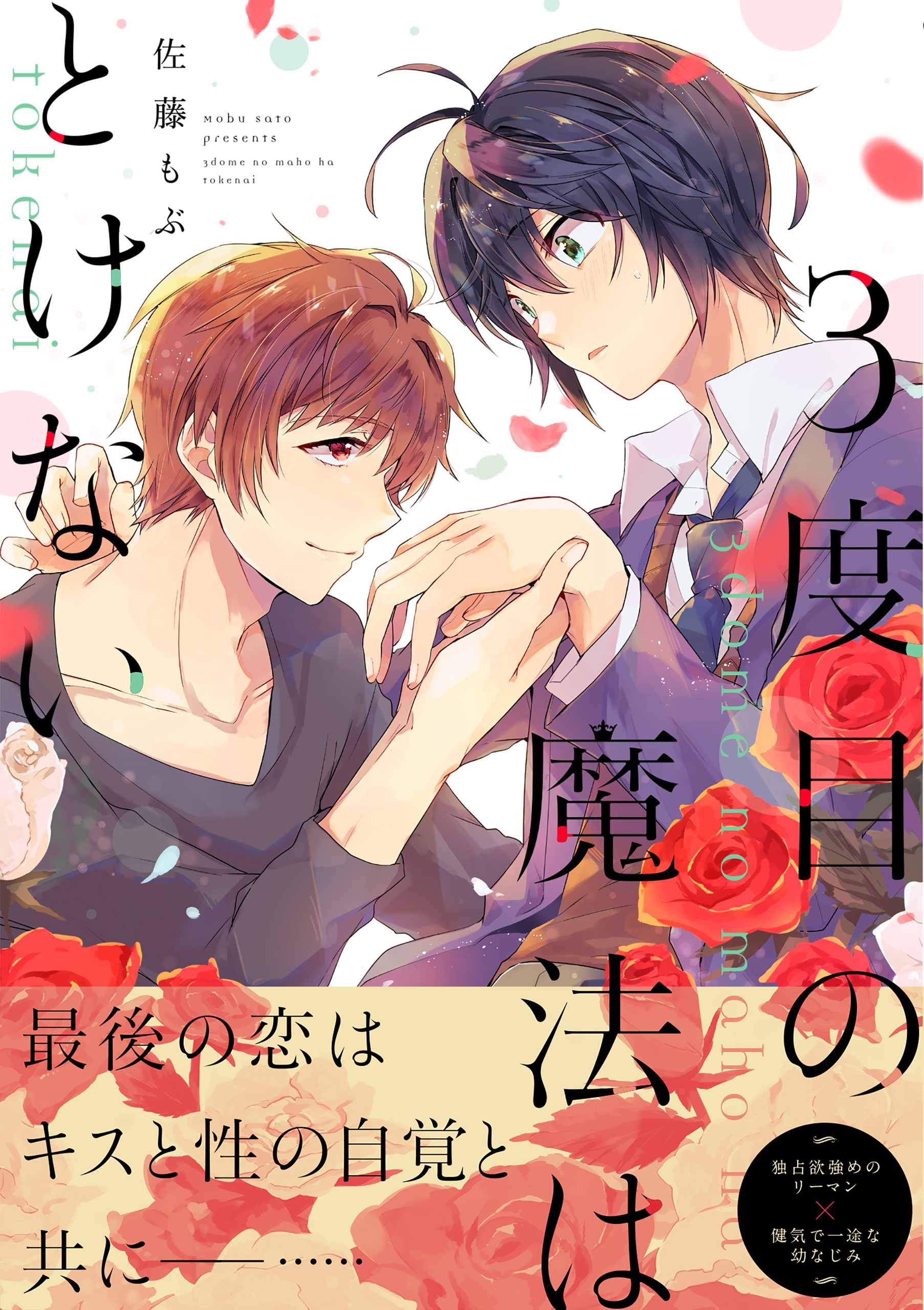 3度目の魔法はとけない 電子限定特典つき 佐藤もぶ 漫画 無料試し読みなら 電子書籍ストア ブックライブ