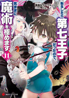 転生したら第七王子だったので、気ままに魔術を極めます１１