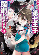 転生したら第七王子だったので、気ままに魔術を極めます１１
