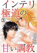 インテリ極道の甘い調教 3
