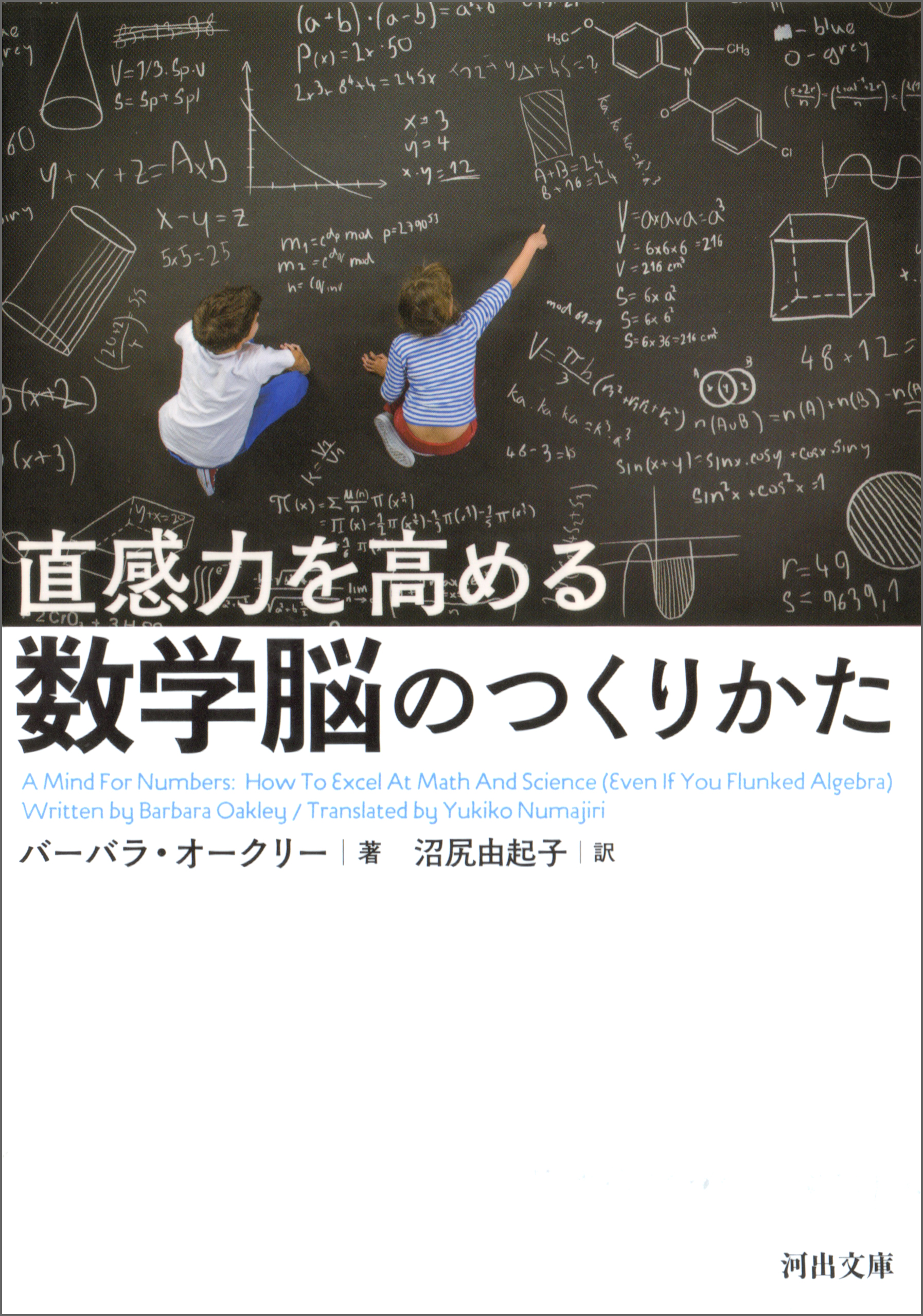 直感力を高める 数学脳のつくりかた 漫画 無料試し読みなら 電子書籍ストア ブックライブ