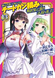 神の手違いで死んだらチートガン積みで異世界に放り込まれました