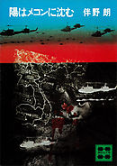 陽はメコンに沈む