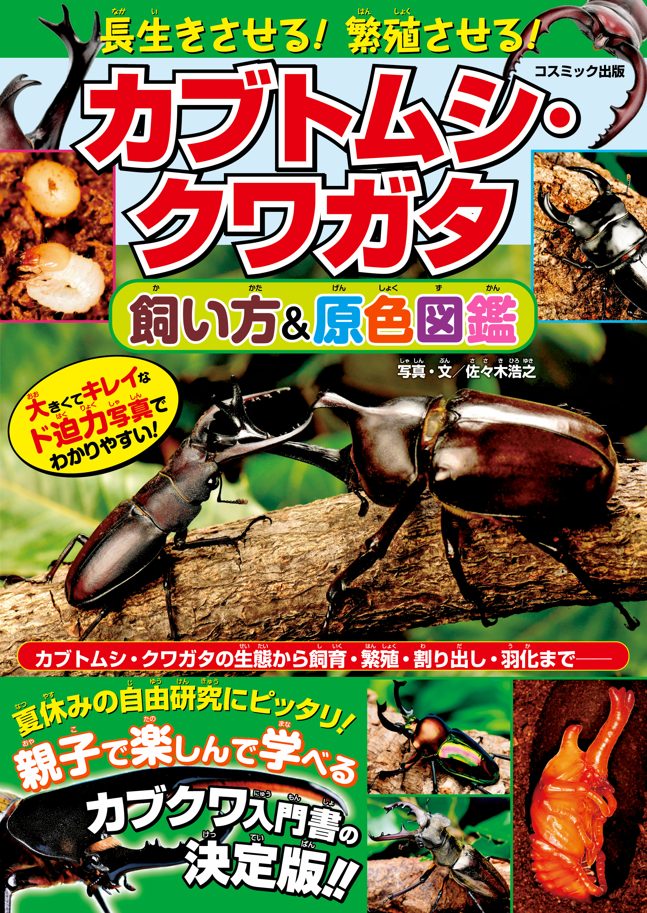 長生きさせる 繁殖させる カブトムシ クワガタ飼い方 原色図鑑 佐々木浩之 漫画 無料試し読みなら 電子書籍ストア ブックライブ