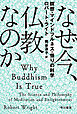 なぜ今、仏教なのか　瞑想・マインドフルネス・悟りの科学