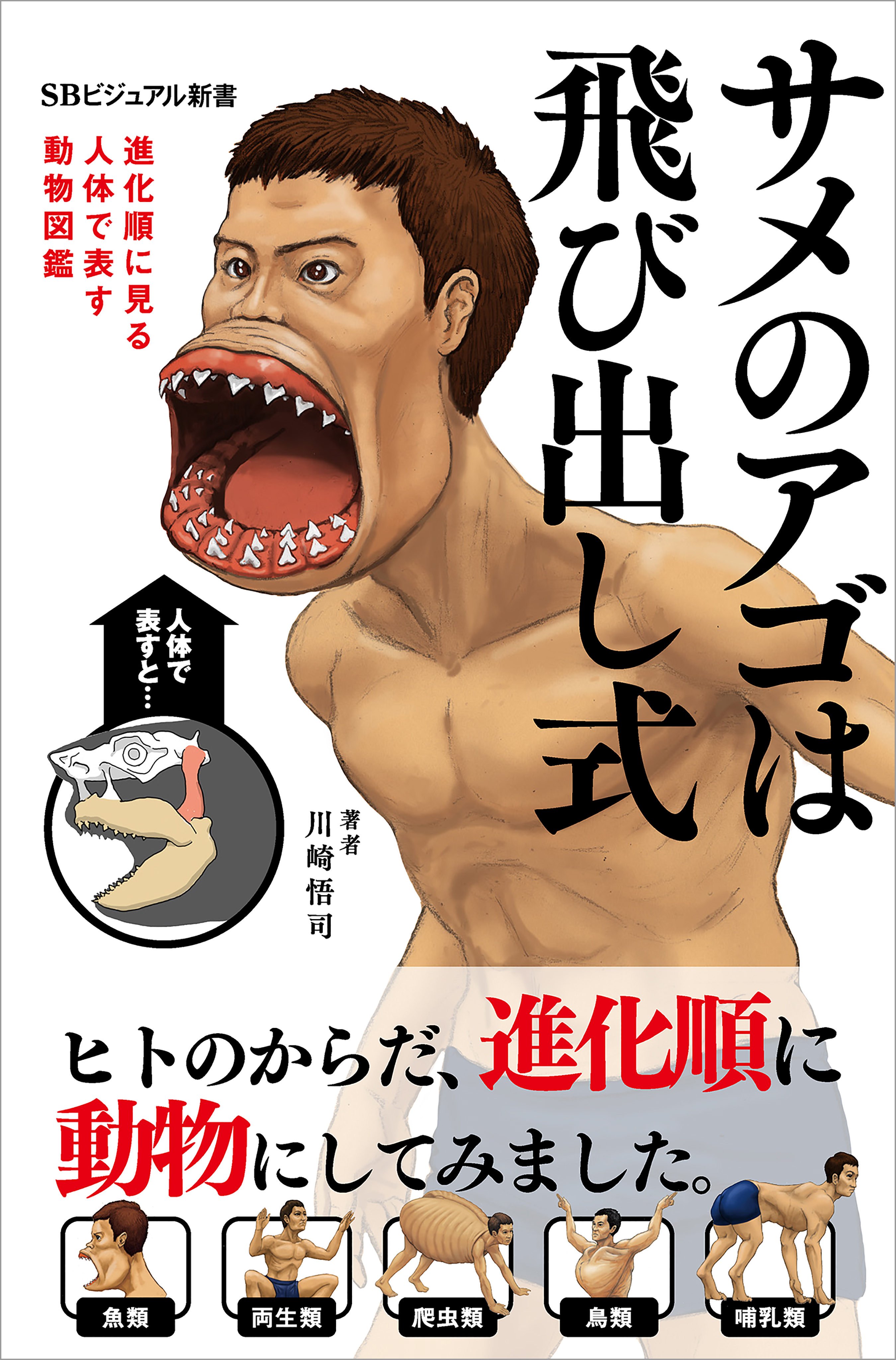 サメのアゴは飛び出し式 進化順に見る人体で表す動物図鑑 川崎悟司 漫画 無料試し読みなら 電子書籍ストア ブックライブ