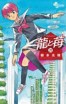 龍と苺 20