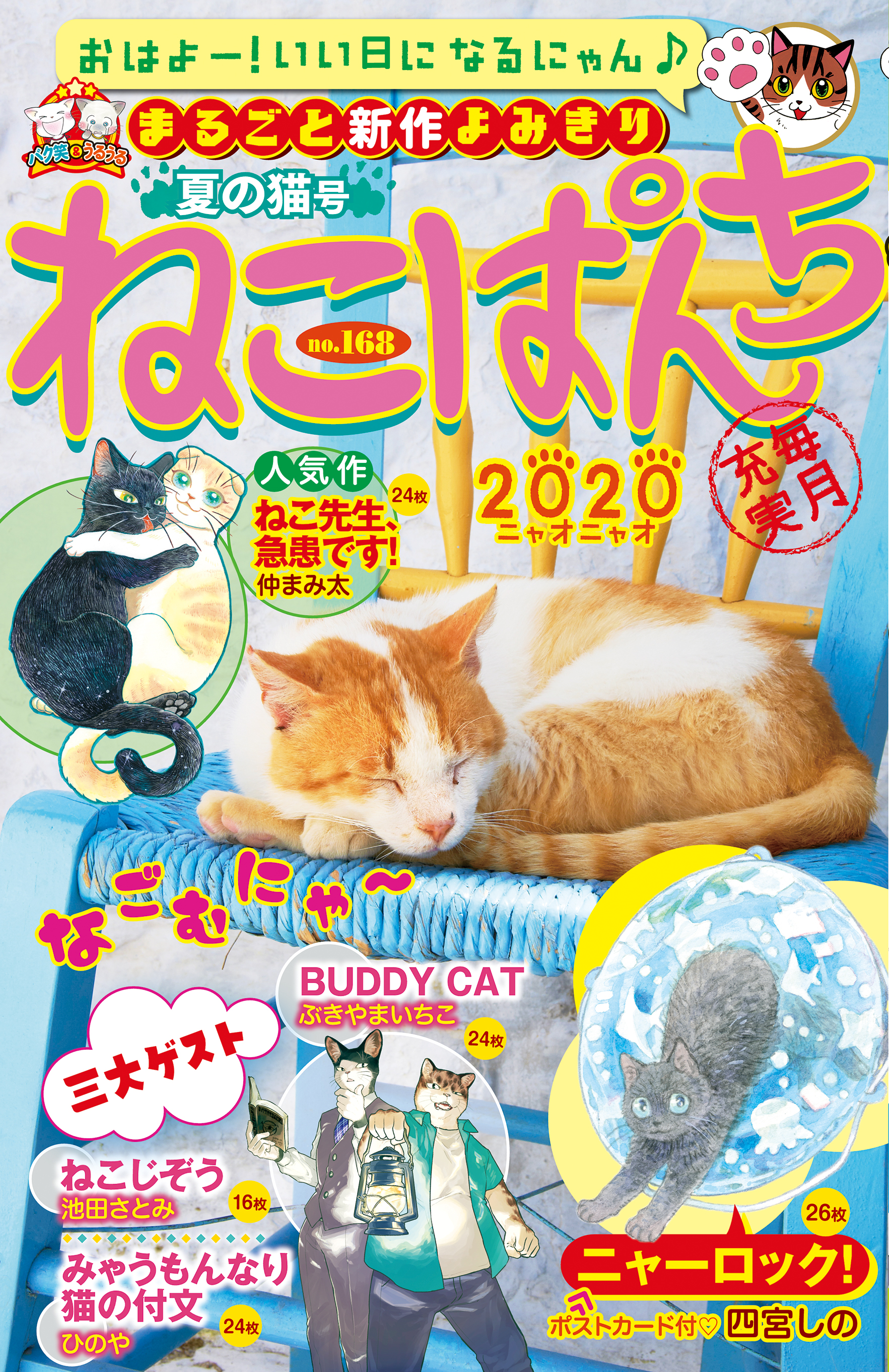 ねこぱんちno 168 夏の猫号 漫画 無料試し読みなら 電子書籍ストア ブックライブ