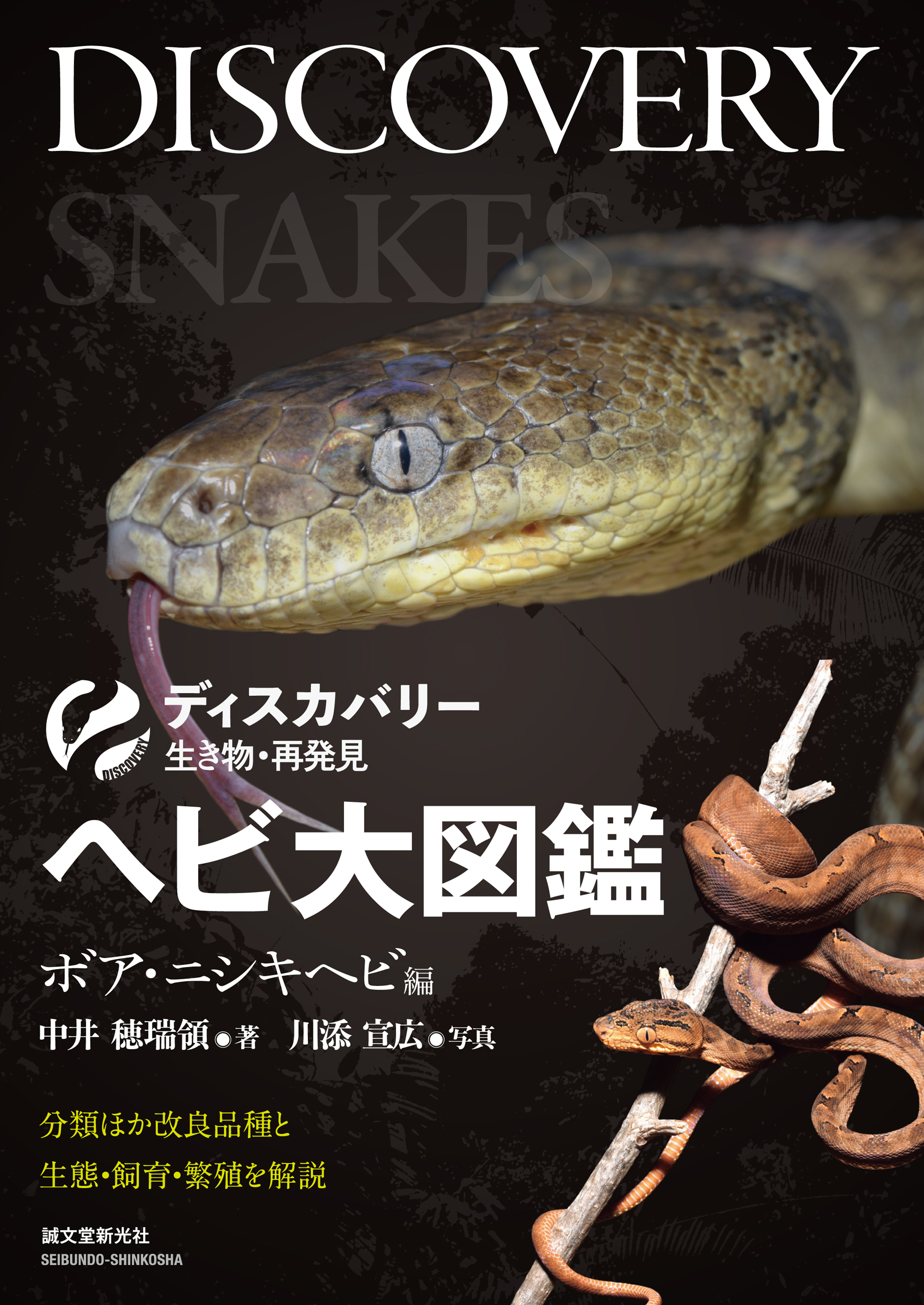 東南アジアヘビ図鑑 - 爬虫類/両生類用品