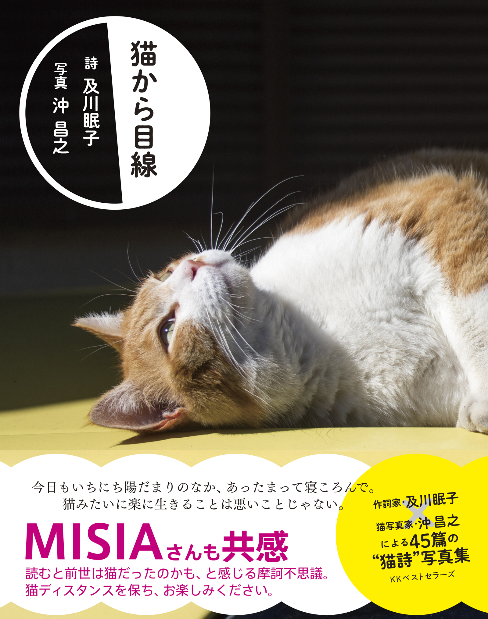 陽だまり猫様☆確認用 嵩む