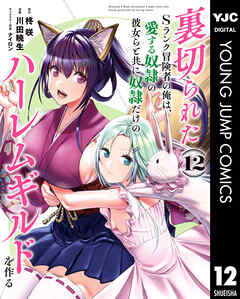 裏切られたSランク冒険者の俺は、愛する奴隷の彼女らと共に奴隷だけのハーレムギルドを作る 12