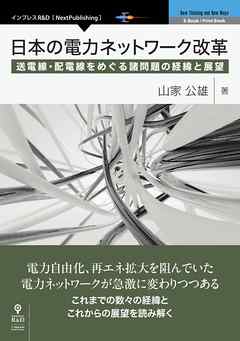 日本の電力ネットワーク改革　送電線・配電線をめぐる諸問題の経緯と展望