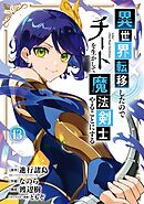 異世界転移したのでチートを生かして魔法剣士やることにする 13巻