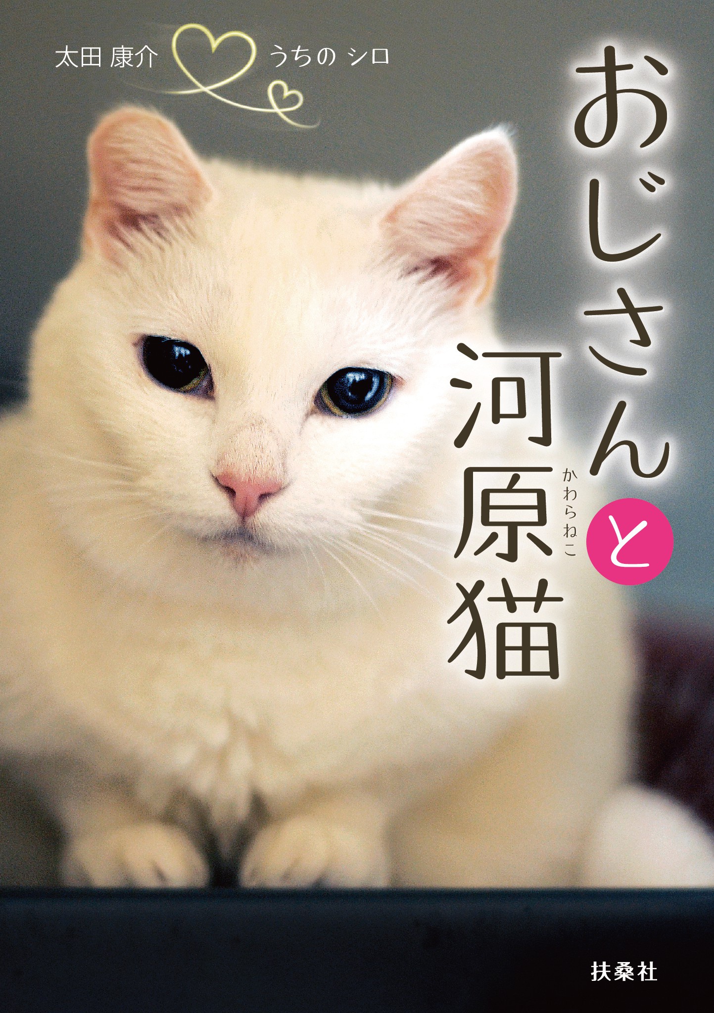 おじさんと河原猫 漫画 無料試し読みなら 電子書籍ストア ブックライブ