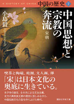 中国の歴史７　中国思想と宗教の奔流　宋朝