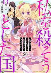 私を殺そうとした国でも救わなきゃダメですか？（分冊版）