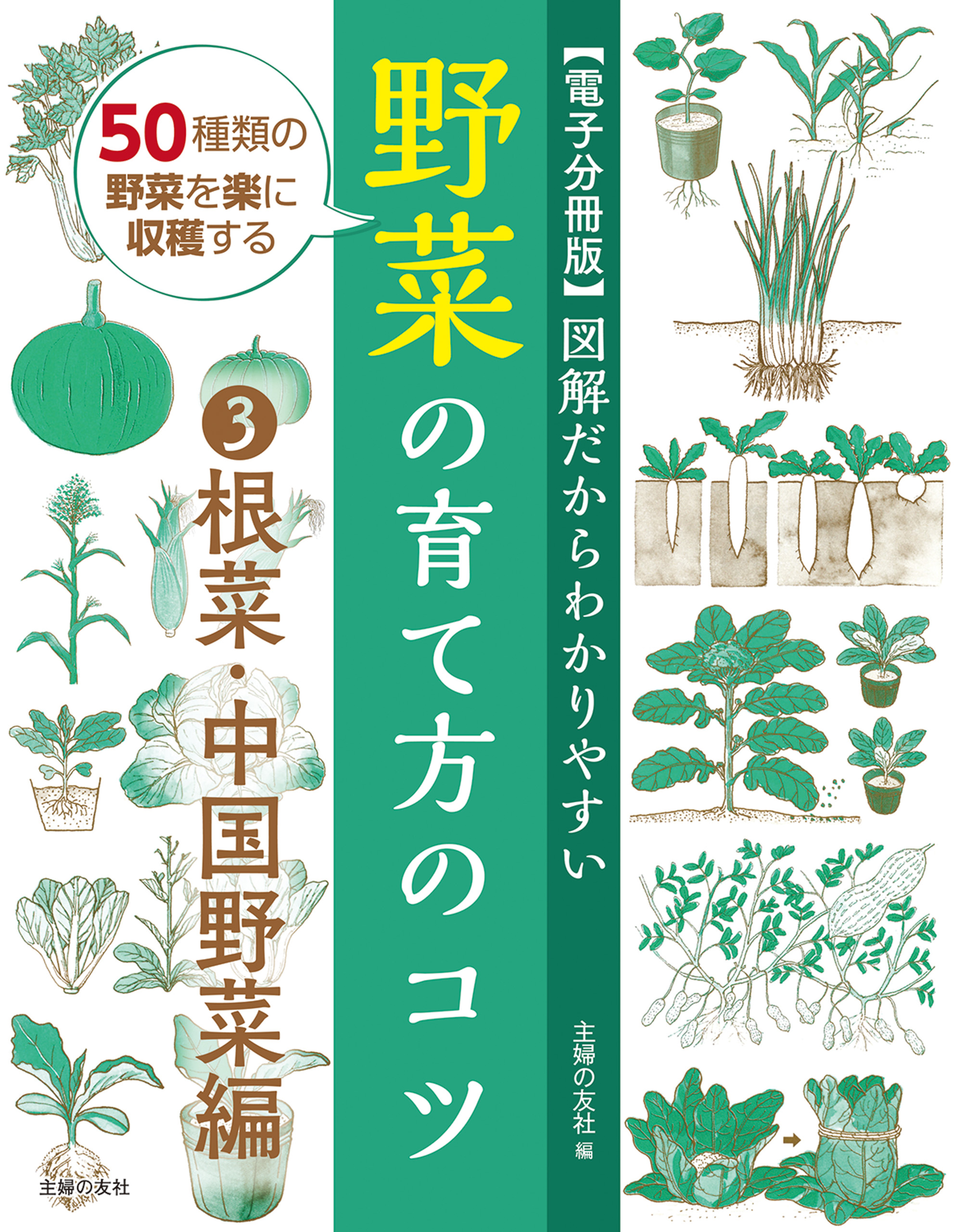 電子分冊版】図解だからわかりやすい 野菜の育て方のコツ③根菜・中国