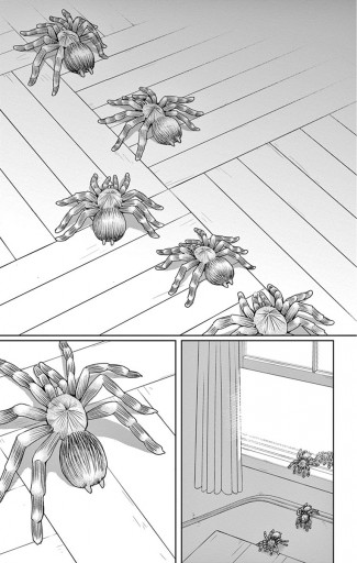 黒薔薇アリス D C Alfine マイクロ 1 漫画 無料試し読みなら 電子書籍ストア ブックライブ 黒薔薇アリス D C Alfine マイクロ 1 漫画 無料試し読みなら 電子書籍ストア ブックライブ