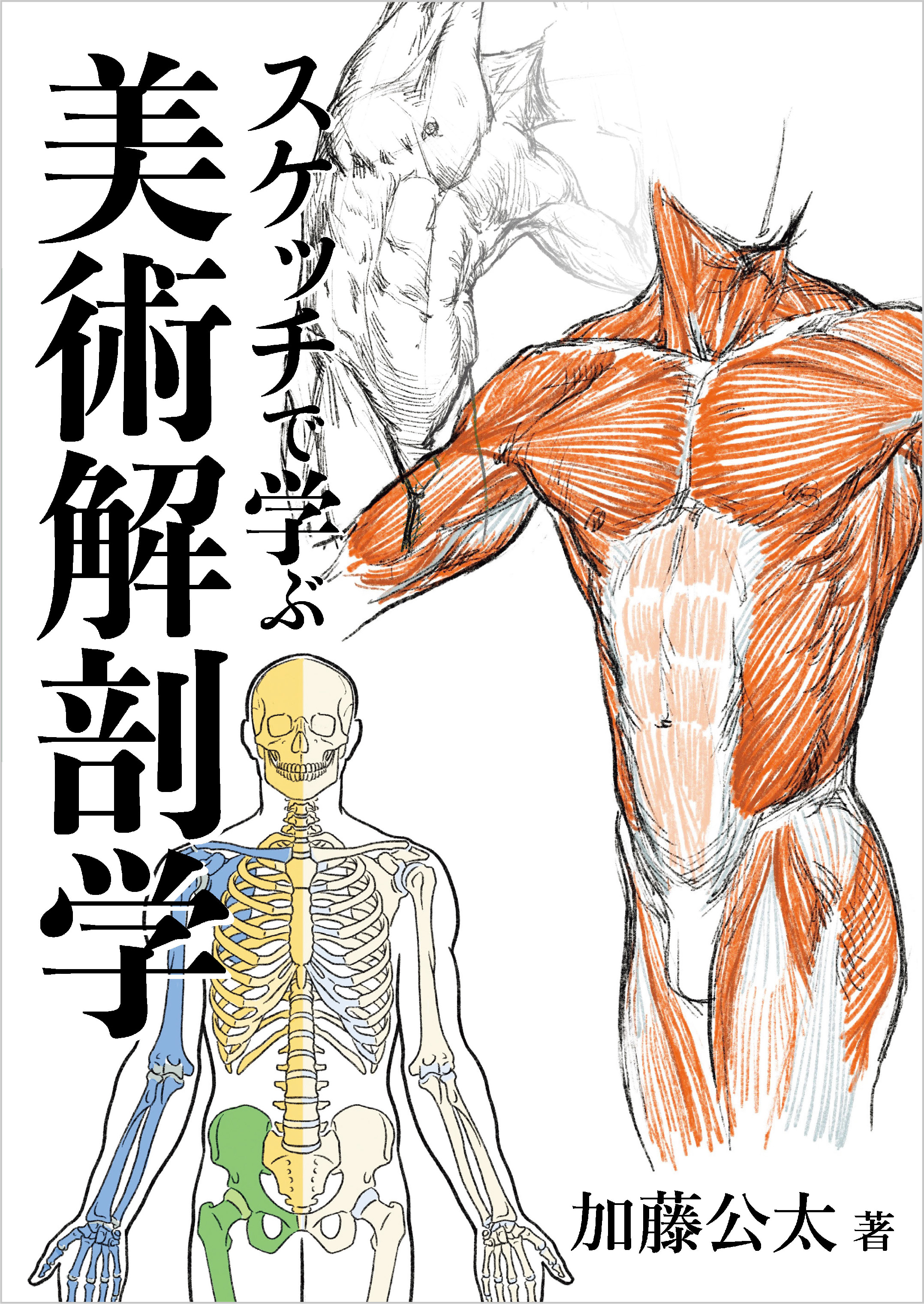 スケッチで学ぶ美術解剖学　漫画・無料試し読みなら、電子書籍ストア　加藤公太　ブックライブ