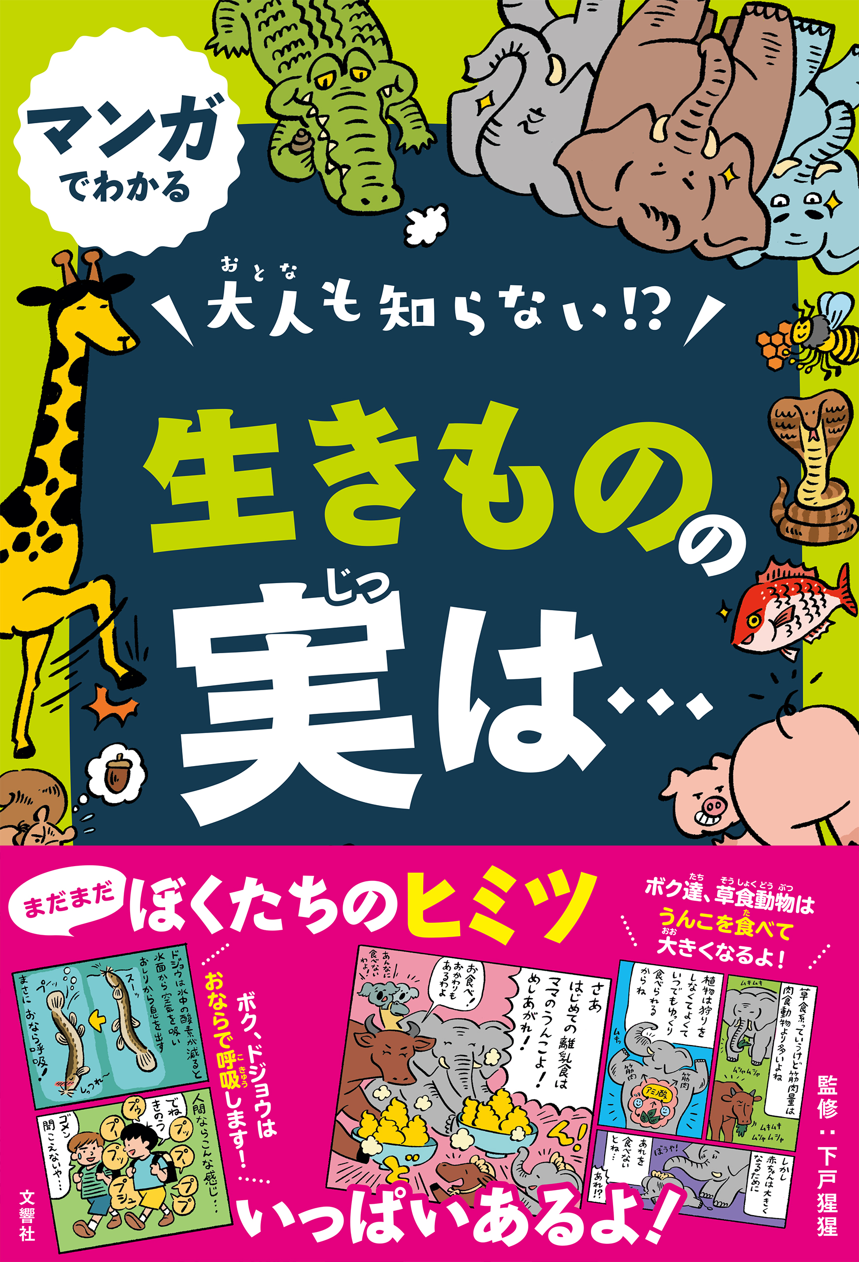 ランキング第1位 きりんまま様専用 jsu.osubb.ro