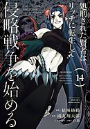 処刑された賢者はリッチに転生して侵略戦争を始める 14巻