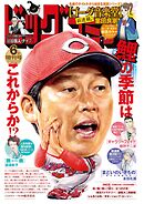 ビッグコミック増刊