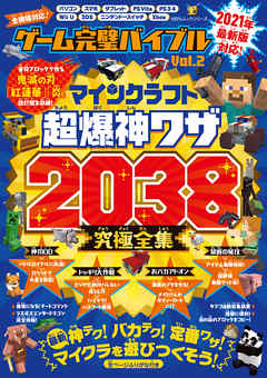 100％ムックシリーズ　ゲーム完璧バイブル Vol.2