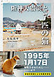 阪神大震災と７匹の猫