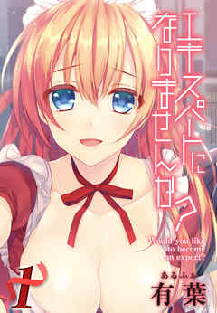 エキスパートになりませんか？(1)