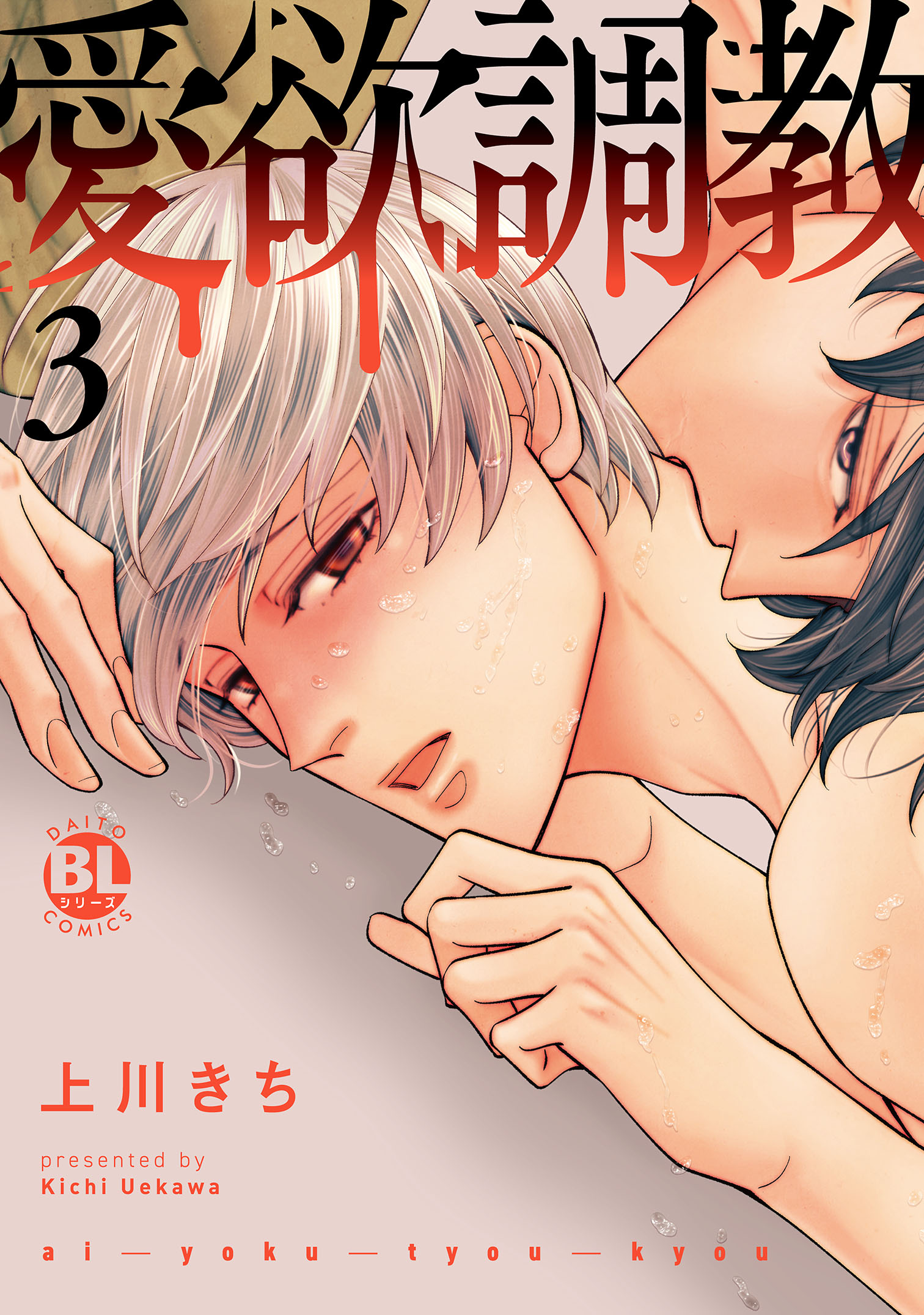 愛欲調教【単行本版】3【電子限定特典付き】 - 上川きち - BL(ボーイズラブ)マンガ・無料試し読みなら、電子書籍・コミックストア ブックライブ