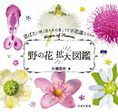 野の花拡大図鑑