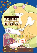 いぬもあるけばさいろくぼん。 十三